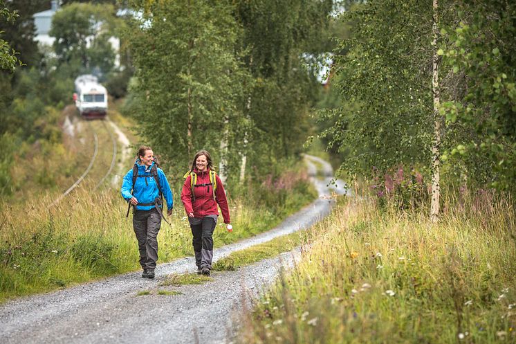 vandring_litsnäset_H8B7351
