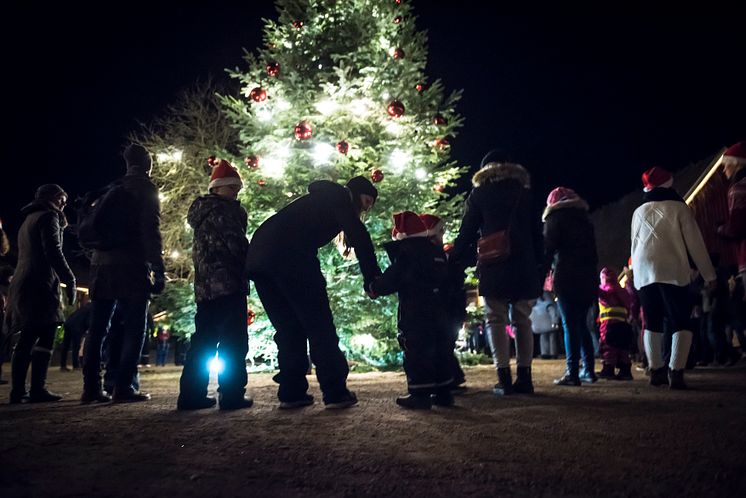 Jul i Djurparken