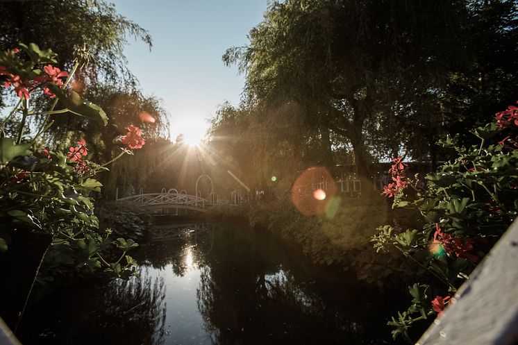 Tivoli Friheden 
