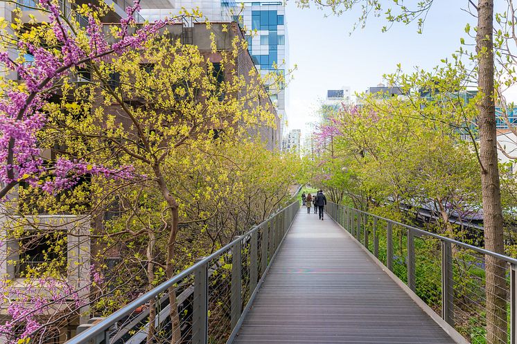 DEST_USA_NEW_YORK_HIGH_LINE_GettyImages-1395722302_Universal_Within usage period_86834