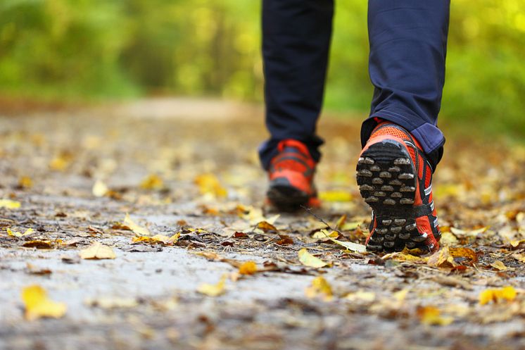 17636946-man-walking-cross-country-trail-in-autumn-forest