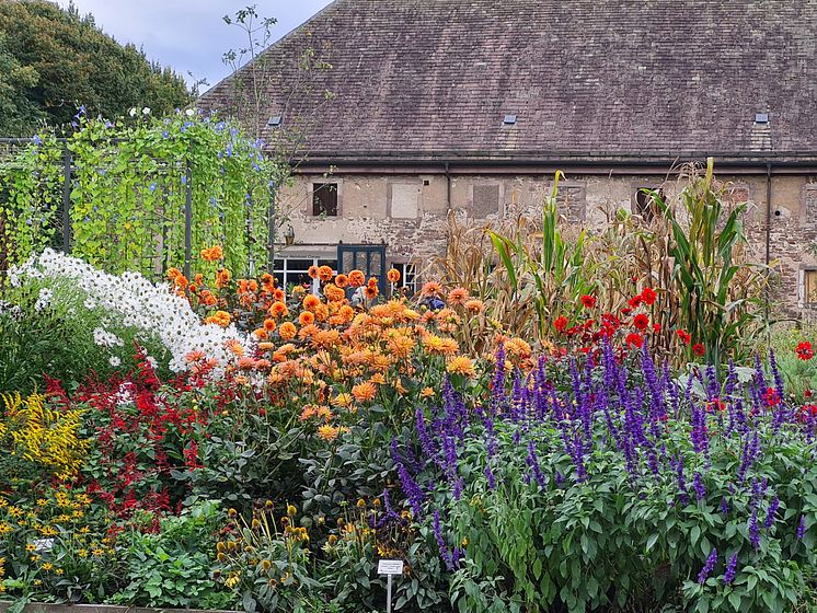 Remtergarten.jpg