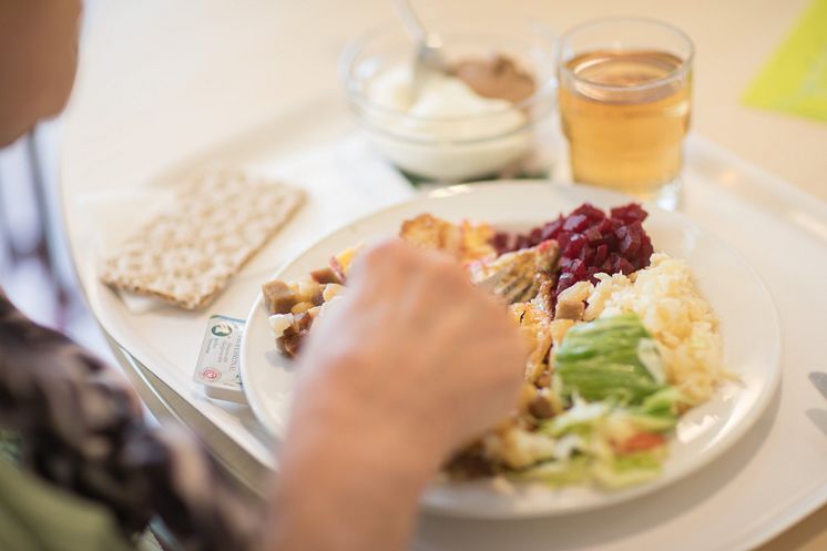 Näringsriktig husmanskost för hemmet