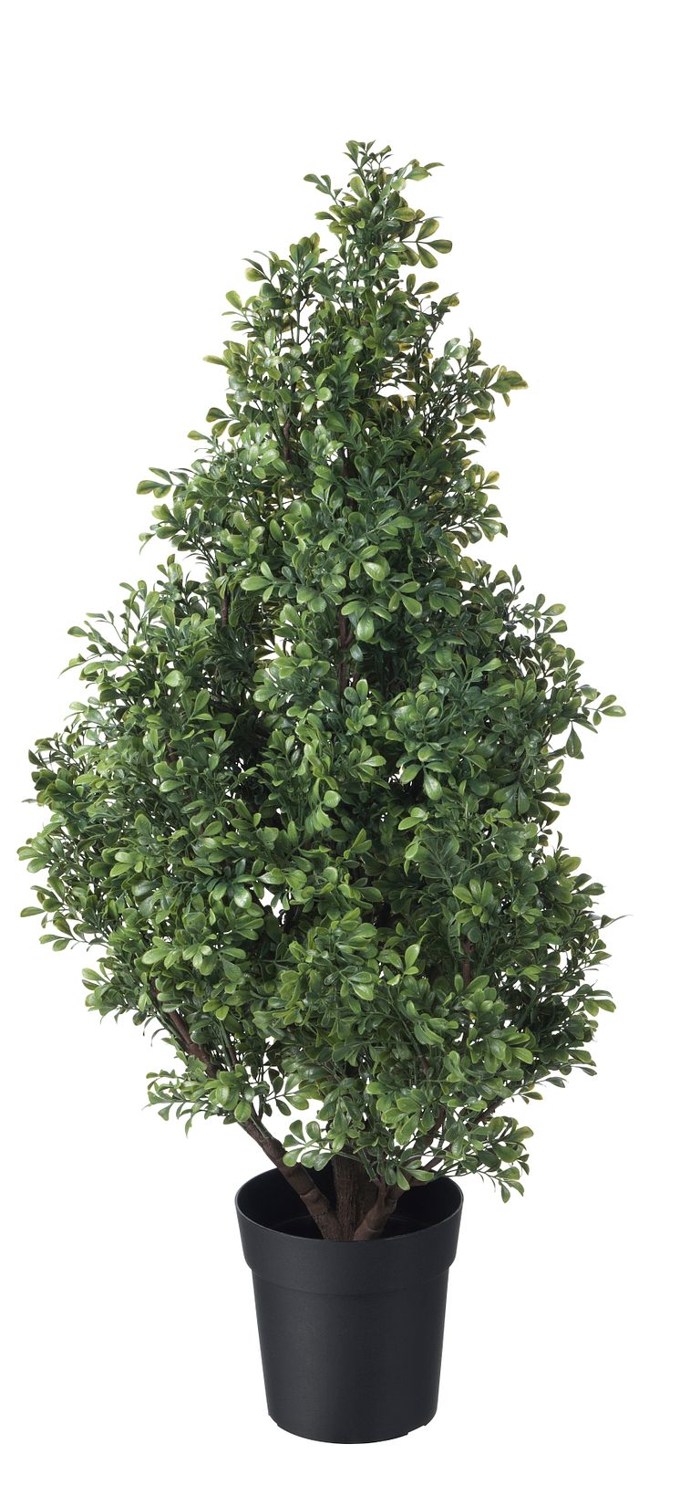 FEJKA kunstig potteplante, buksbom, indendørs/udendørs 299.-