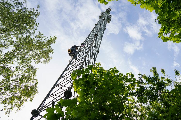 Telenor mast og grønne omgivelser