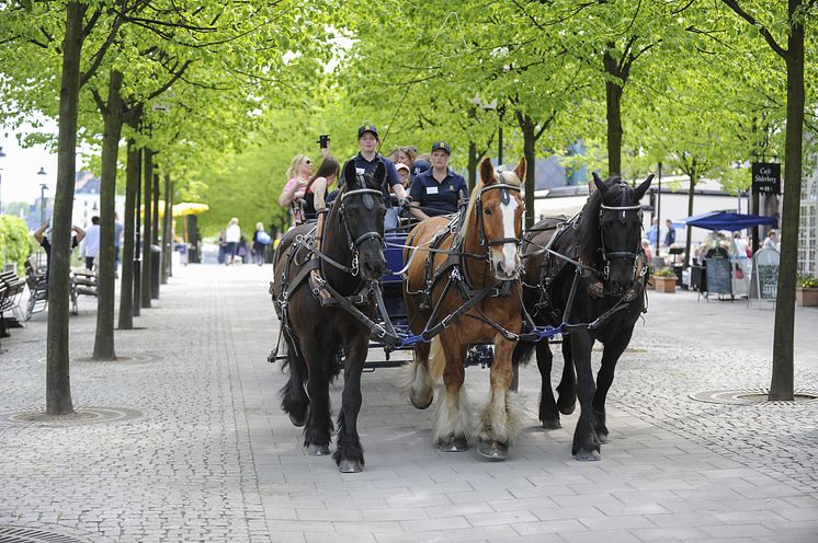 Ridskolan Strömsholm i Kungsträdgården med ett tre-spann. 