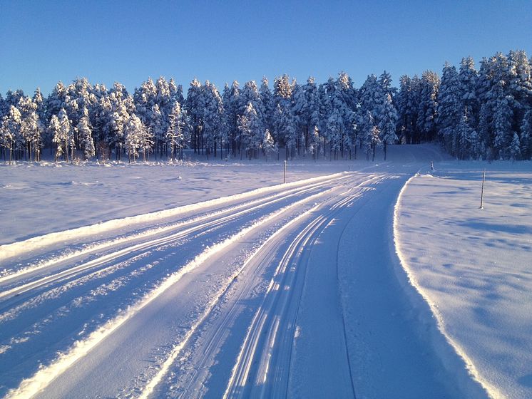 Vasaloppsspåret 15 januari 2016