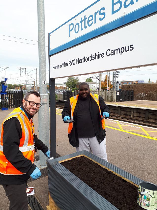 Potters Bar station planting