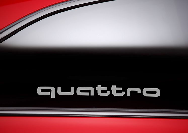 A5 DTM selection - quattro logo i siderude