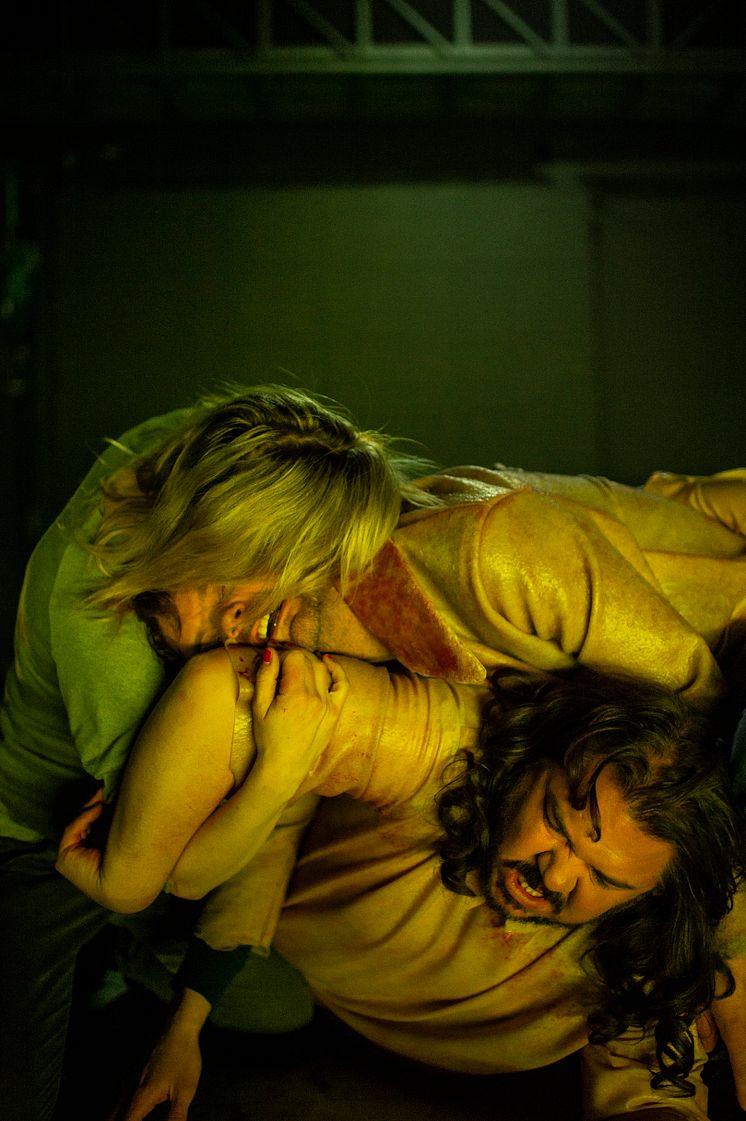 Framsyningsfoto LEAR