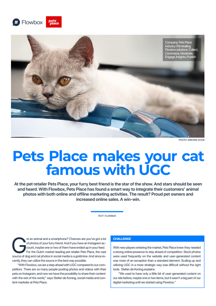 Pets Place makes your cat famous with UGC