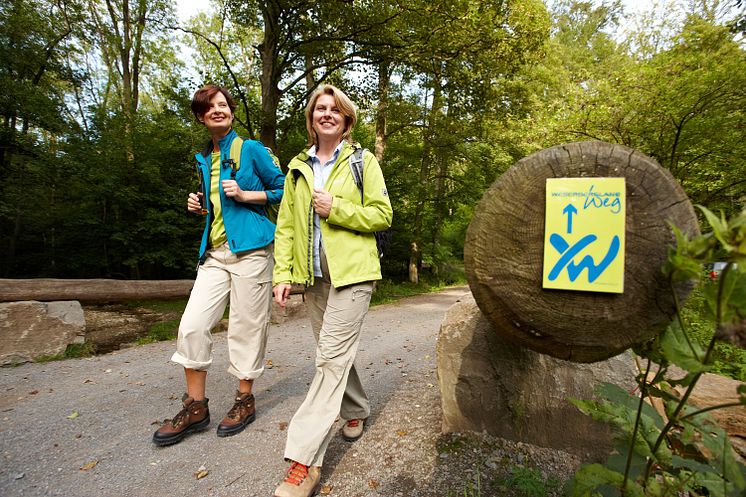 Wanderinnen auf dem Weserbergland-Weg (XW)