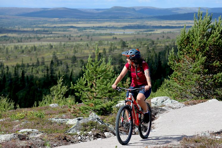 Stigcykling i Lofsdalen i Lofsdalen Fjällpark MTB