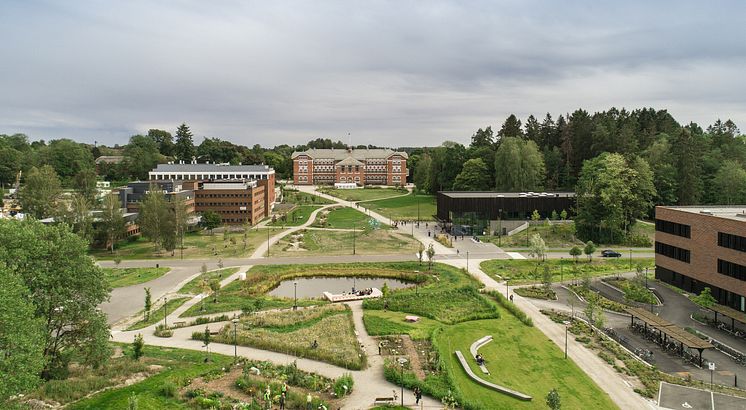 Campus Ås - Oversiktsbilde