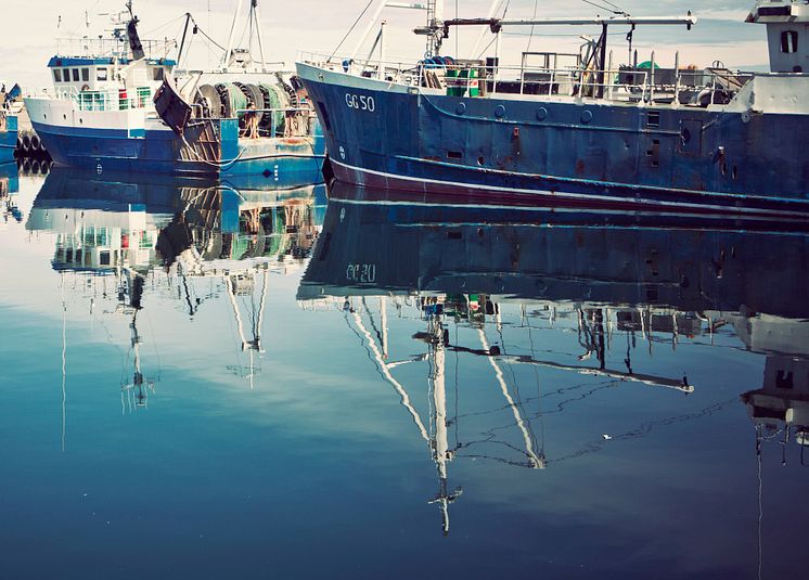 HaV stänger fiske i Skagerrak för att skydda ungfisk