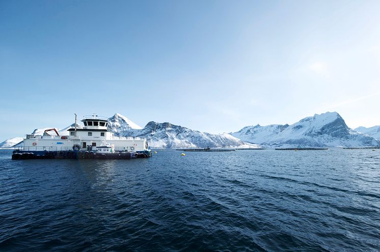 Salmon farm with feed barrage and sea cages