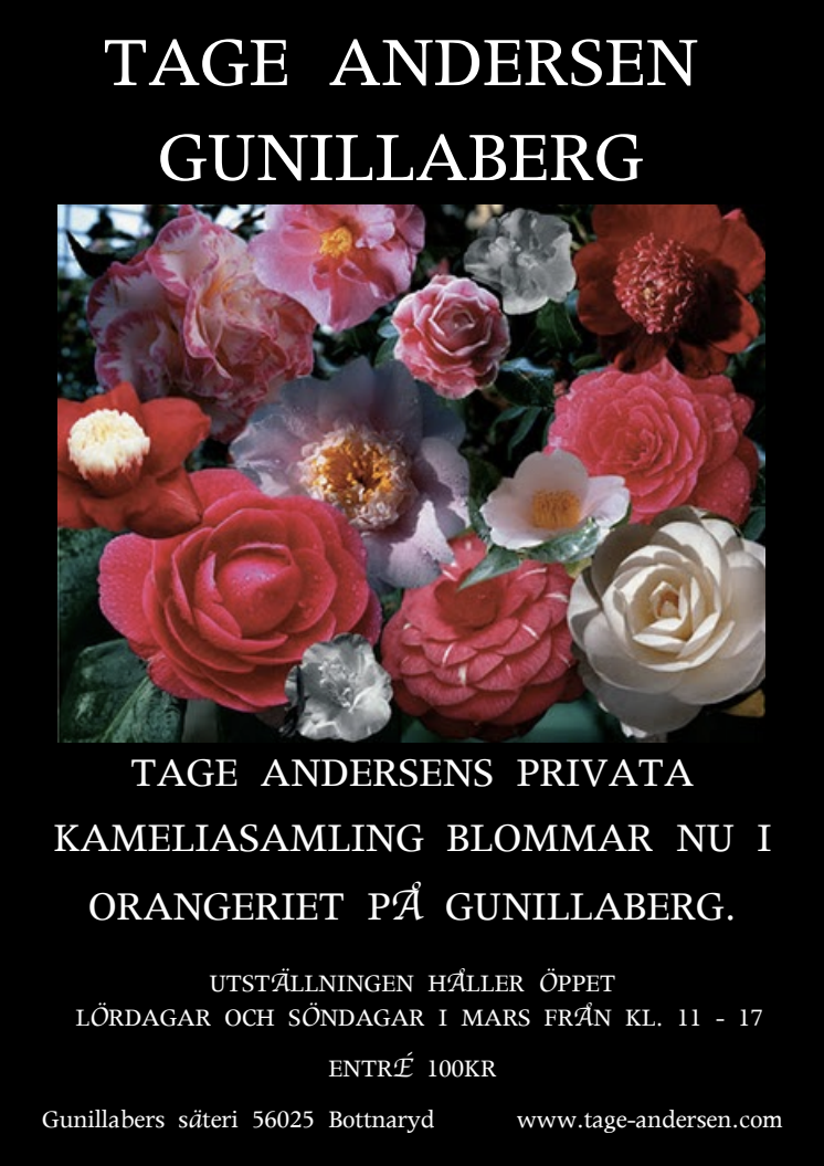 Affisch Kameliautställning 2014
