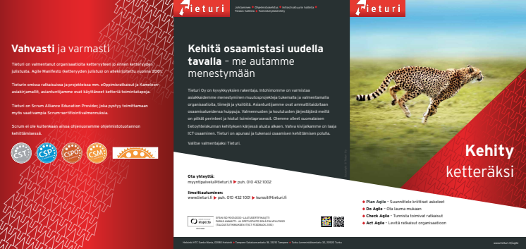 Esite: Kehity ketteräksi Tieturissa