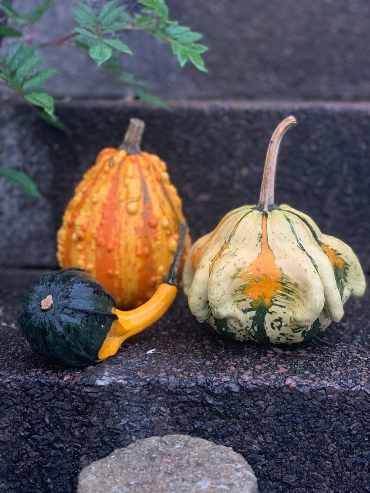 Pumpor på trappen