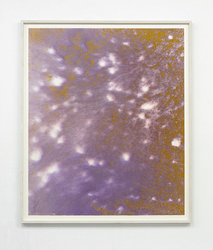 Fanny Hellgren. Symbiosis.