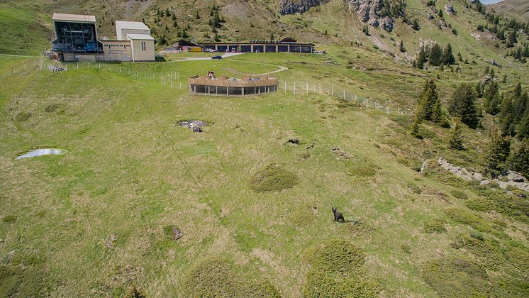 Neues Bärenland in Arosa (Graubünden)