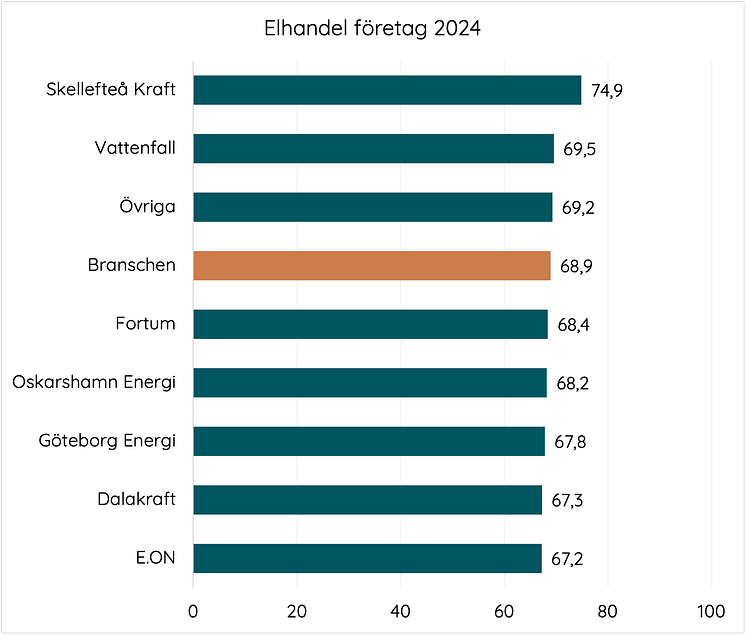 Elhandel företag 2024.png