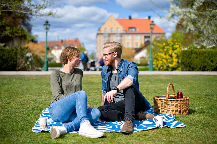 Fika i Östergötland