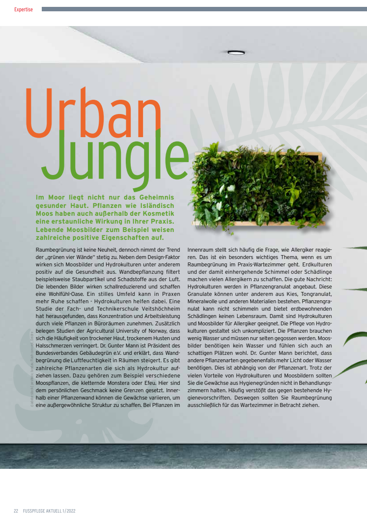 Urban Jungle