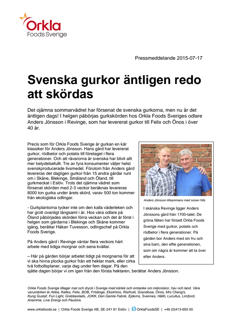 Svenska gurkor äntligen redo att skördas