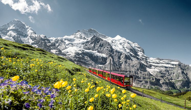 ST_Wengen-Jungfrau-Railway_40672