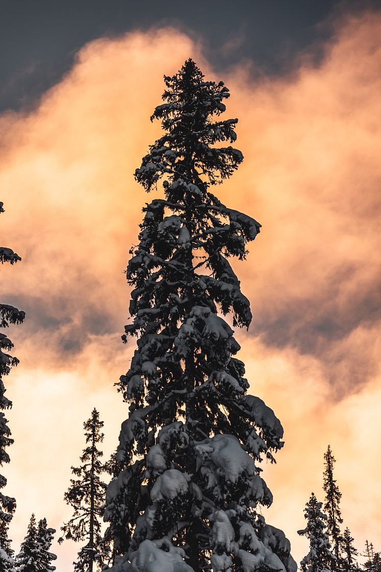 Sälen snö januari 2021