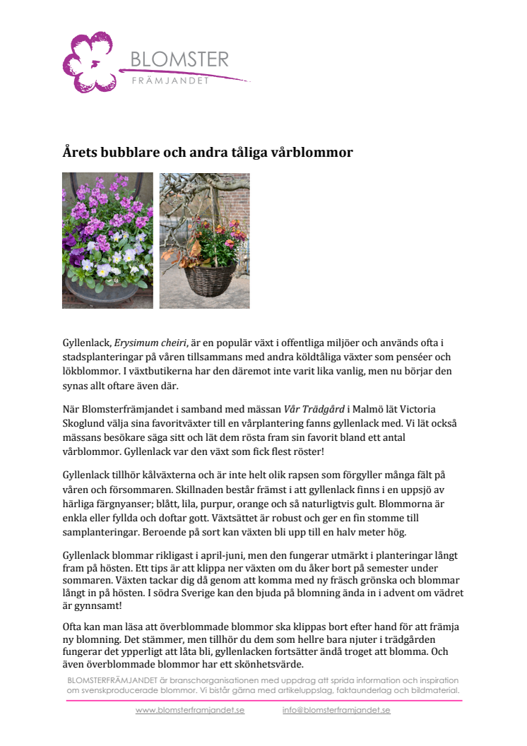 Årets bubblare och andra tåliga vårblommor