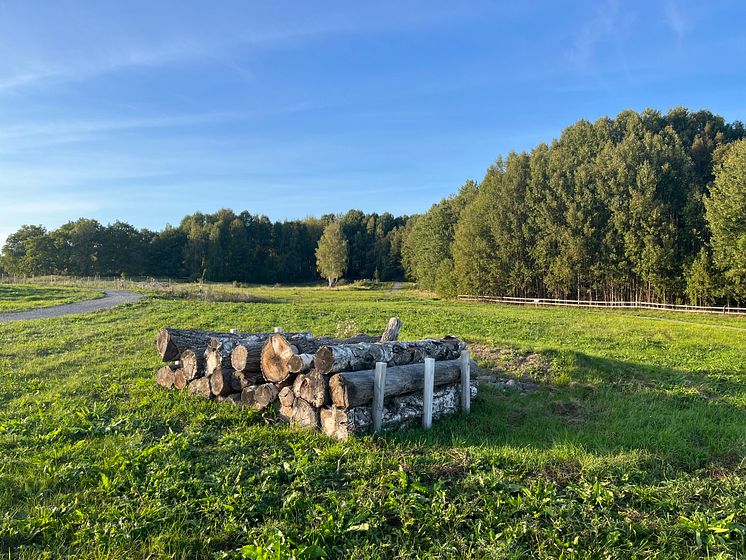 Hansta hage faunadepå