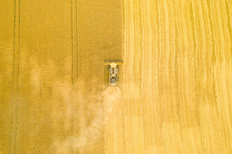 Första_Dalarögen_2020_(33_av_53).png