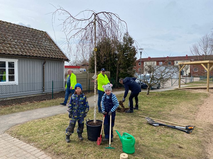 Ängelholmshem 1000 träd på 10 år