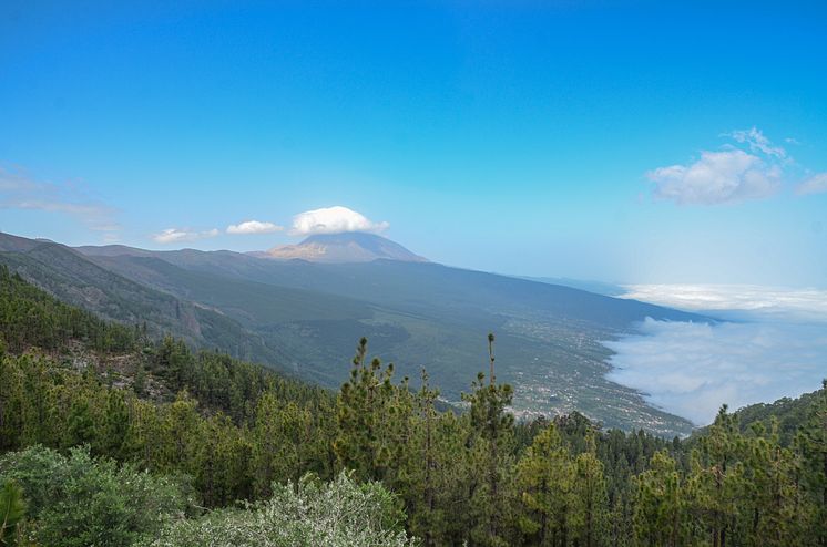 Mount Teide Tenerife, Canary Islands