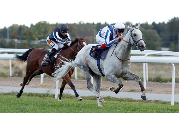 Thundering Blue vinner Stockholm Cup 2018