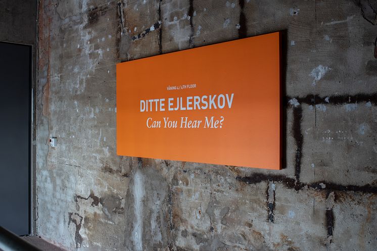Ditte Ejlerskov - Can You Hear Me? 2019