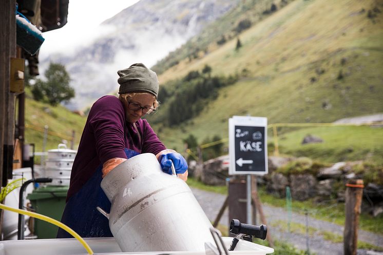 Alpkaese-Trail_Engelberg_Alp-Staefeli©Engelberg-Titlis-Tourismus