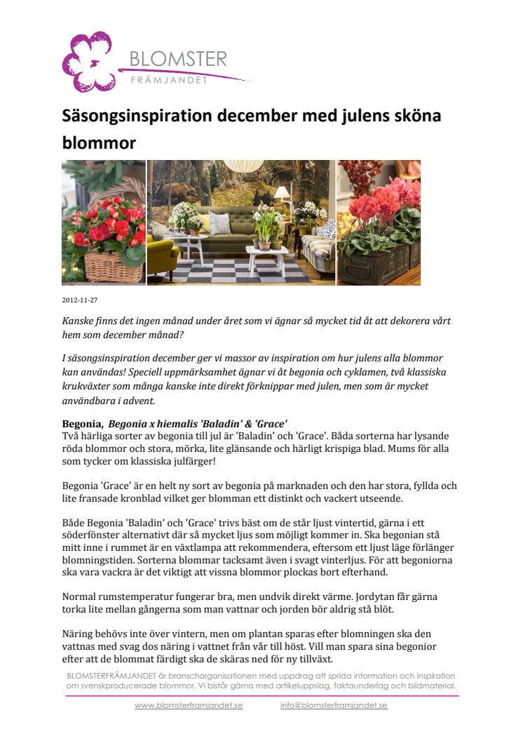 Säsongsinspiration december med julens sköna blommor