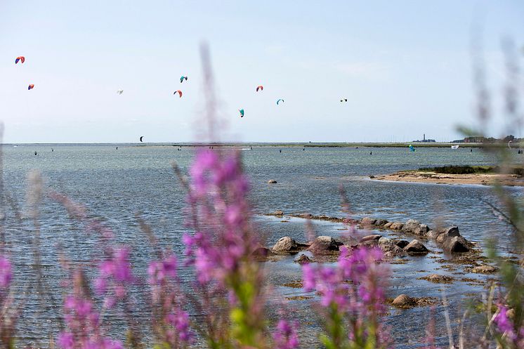 Kitesurfer in der Orther Reede