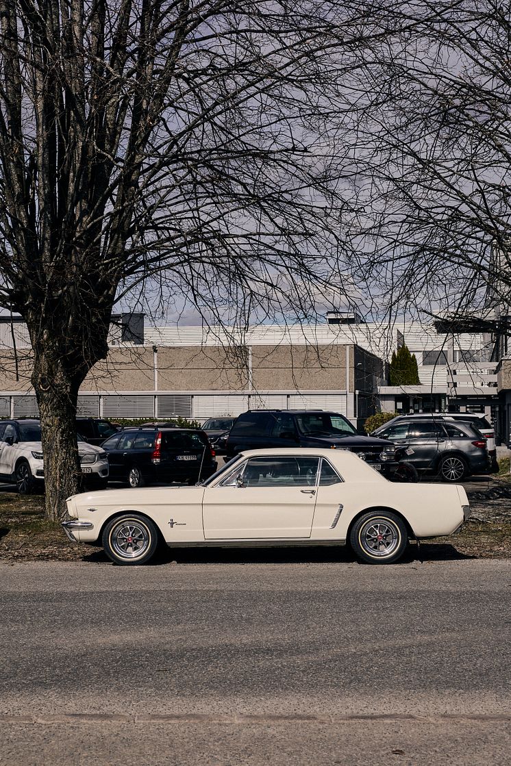 Mustang 60 år feiring Bilfabrikken 2024 (20).jpg