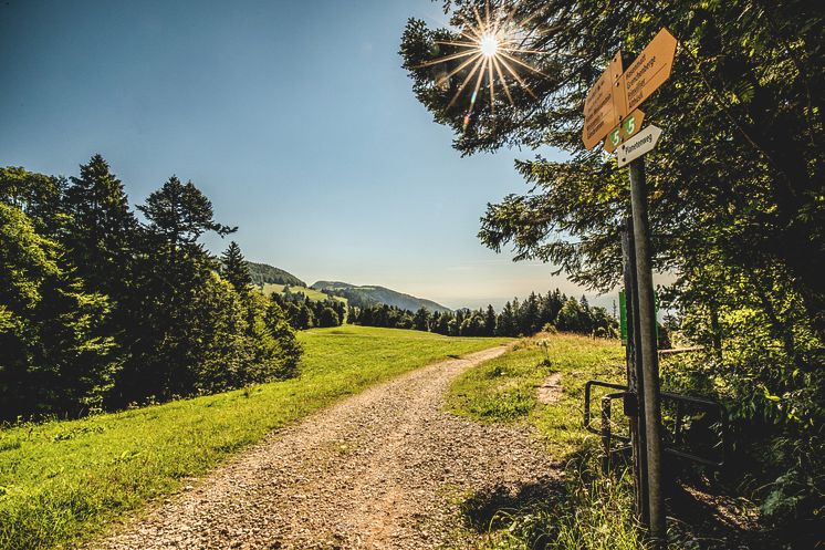 ST_3x2_Oberdorf-signpost_42892_ (c)Switzerland Tourism_Tamara Fehr