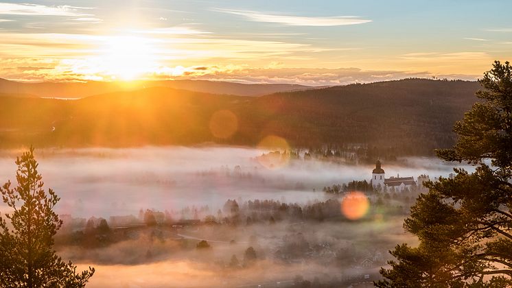 Avkopplande natur _Destination Järvsö kopiera