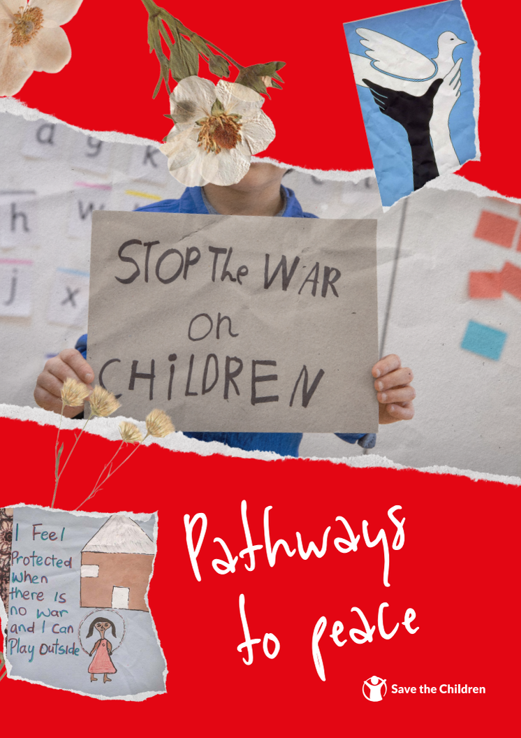 SWOC REPORT_Pathways to Peace_2024.pdf