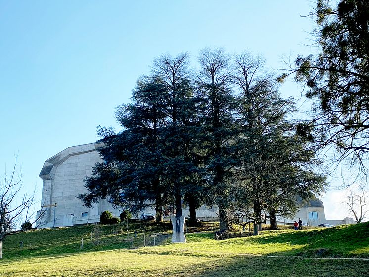 Zederngruppe mit Goetheanum 300dpi_Sebastian Juengerl