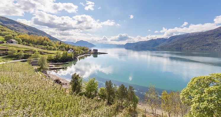 Hardanger produserer Norges svar på champagne