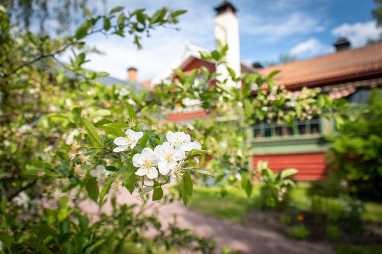 Carl Larsson-gården i Sundborn, Falun.