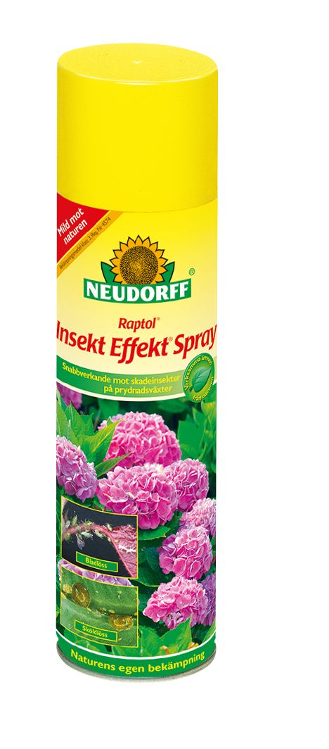 Raptol Insekt Effekt Spray 400ml_Neudorff