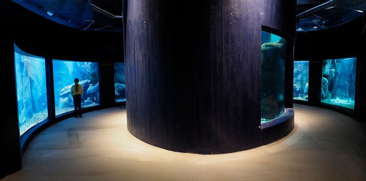 Nya akvarier på Havets Hus